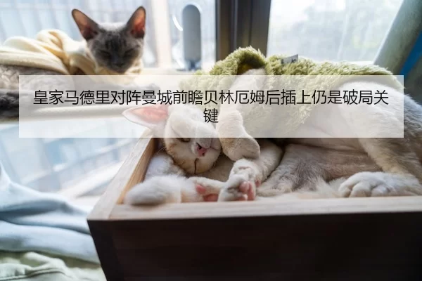 皇家马德里对阵曼城前瞻贝林厄姆后插上仍是破局关键