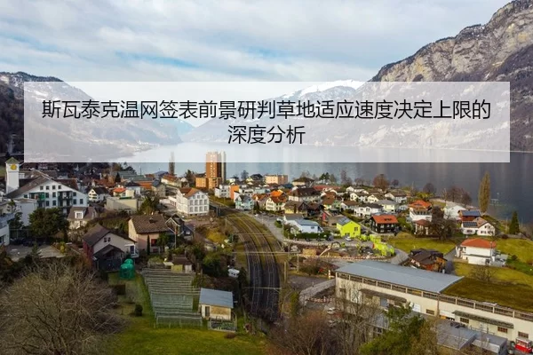 斯瓦泰克温网签表前景研判草地适应速度决定上限的深度分析
