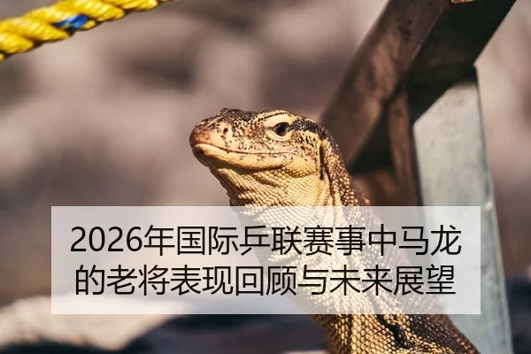 2026年国际乒联赛事中马龙的老将表现回顾与未来展望