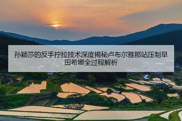 孙颖莎的反手拧拉技术深度揭秘卢布尔雅那站压制早田希娜全过程解析