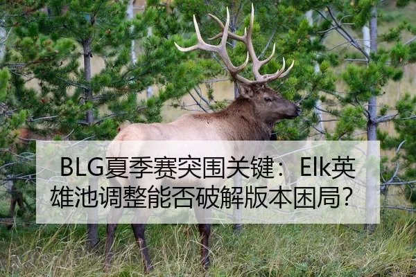 BLG夏季赛突围关键：Elk英雄池调整能否破解版本困局？