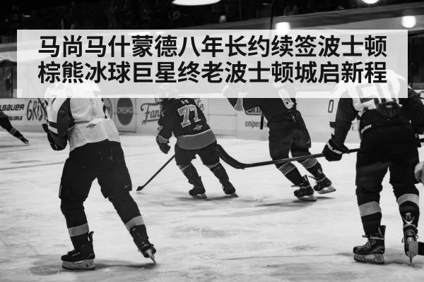 马尚马什蒙德八年长约续签波士顿棕熊冰球巨星终老波士顿城启新程